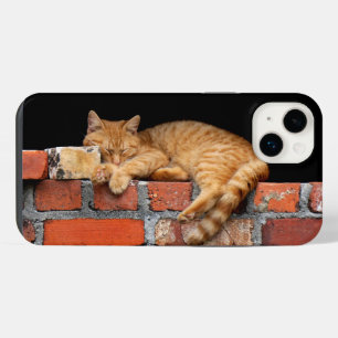 Cat Sleeping on Brick Wall iPhone 14 Plus Case