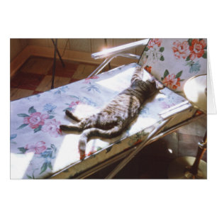 Cat Sleeping on Chaise Lounge Retro Kitten Picture