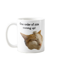 Cat Sleeping on the Job