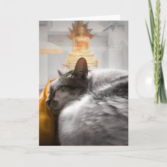 Cat Sleeping under Buddha's Watch Card (Front)