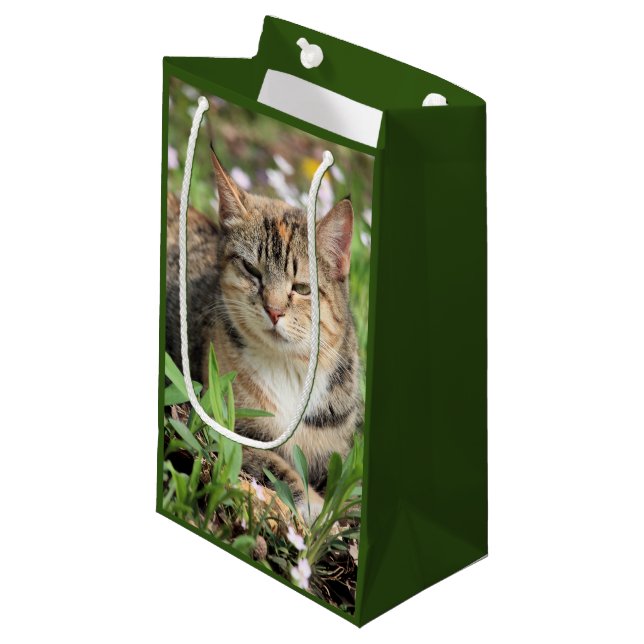 Cat Small Gift Bag (Front Angled)