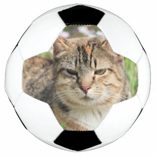 Cat Soccer Ball