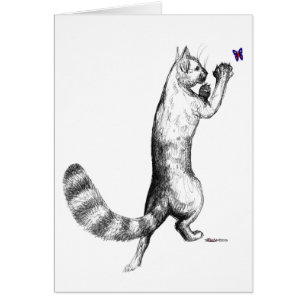 Cat Springing