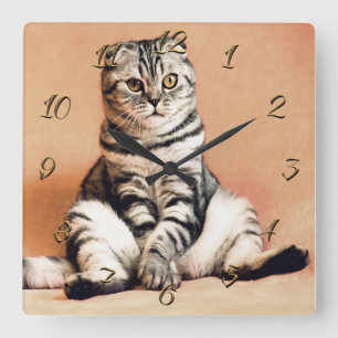 Cat Square Wall Clock