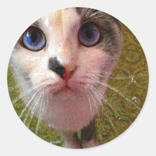 Cat Sticker