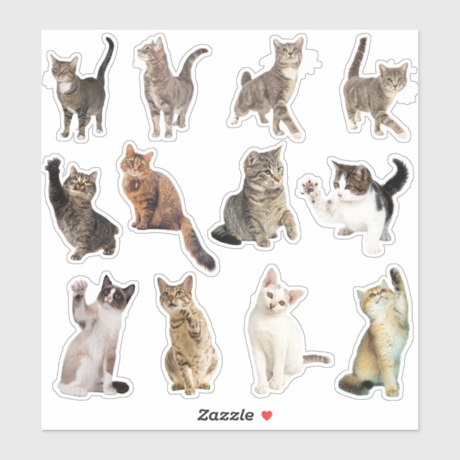 Cat Sticker Collection (Sheet)