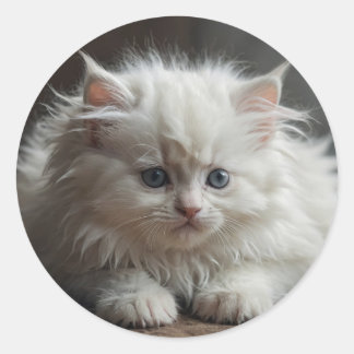 Cat Stickers