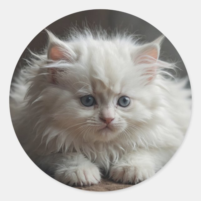 Cat Stickers (Front)
