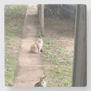 Cat Stone Coaster