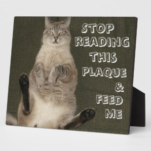 Cat "STOP READING THIS PLAQUE & FEED ME" Plaque