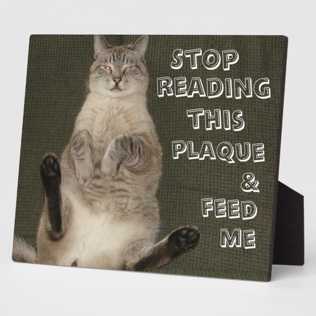 Cat "STOP READING THIS PLAQUE & FEED ME" Plaque (Side)