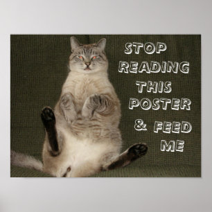 Cat "Stop Reading This Poster & Feed Me" Poster