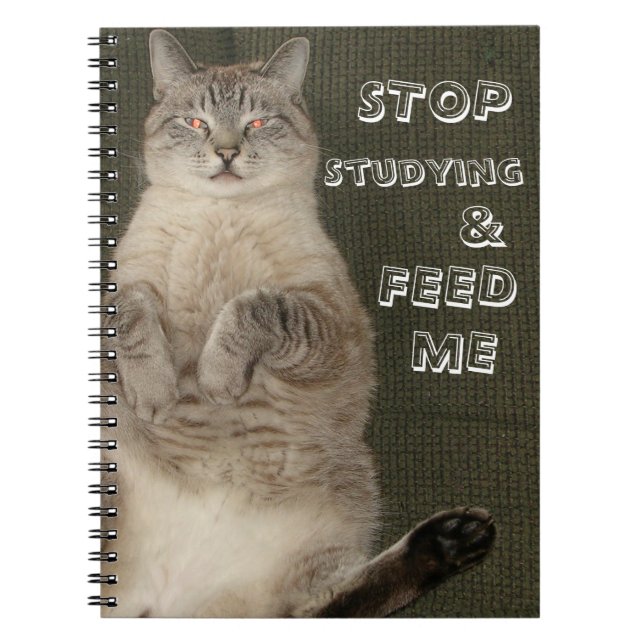 Cat "STOP STUDYING & FEED ME" Notebook (Front)