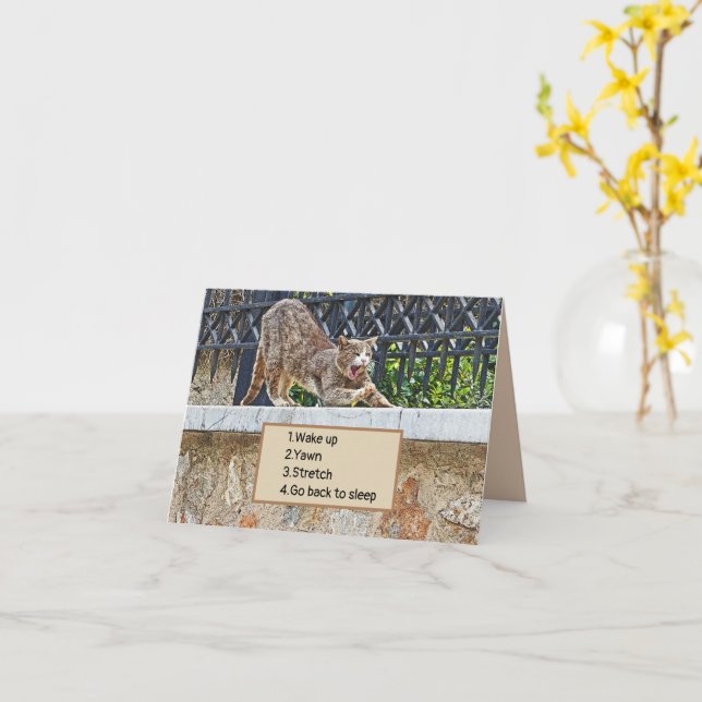 CAT STRETCHING AND YAWNING/MORNING ROUTINE CARD (Yellow Flower)