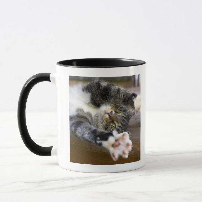 Cat stretching, indoors mug (Left)