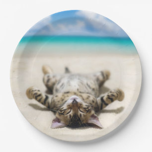 Cat Sunbathing at the Beach  Paper Plate