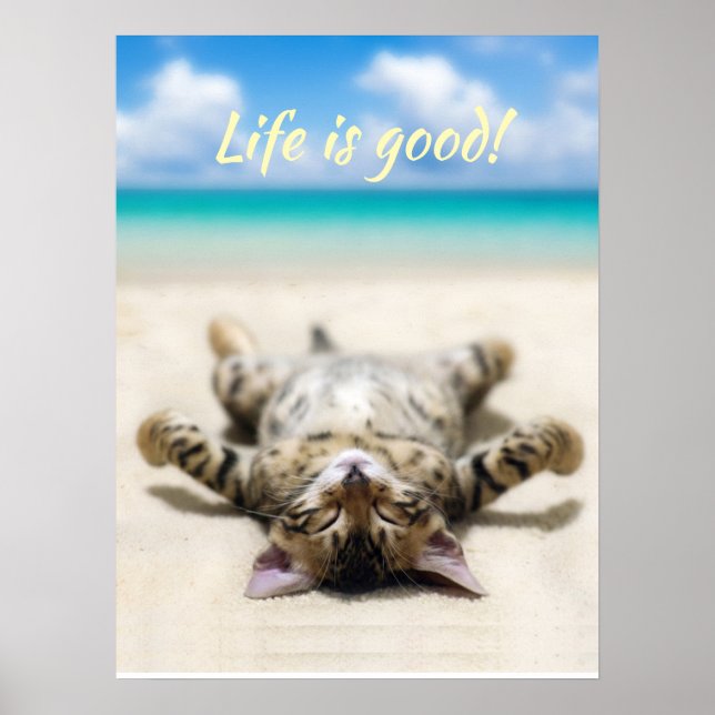 Cat Sunbathing at the Beach  Poster (Front)