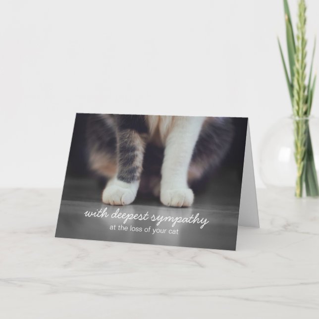Cat Sympathy Bereavement Greeting Card (Front)