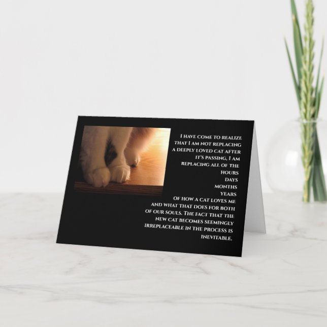 Cat sympathy card (Front)