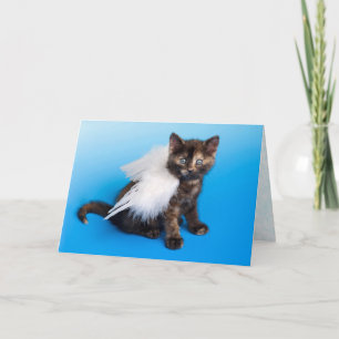 Cat Sympathy Card