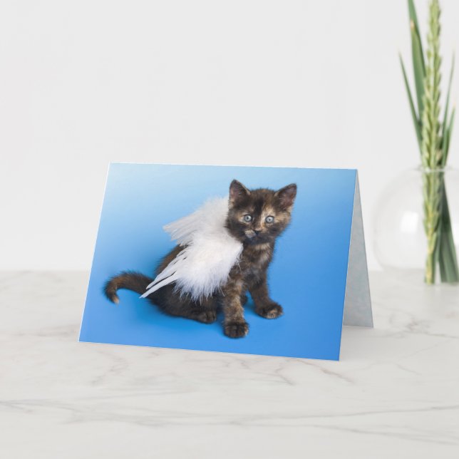 Cat Sympathy Card (Front)