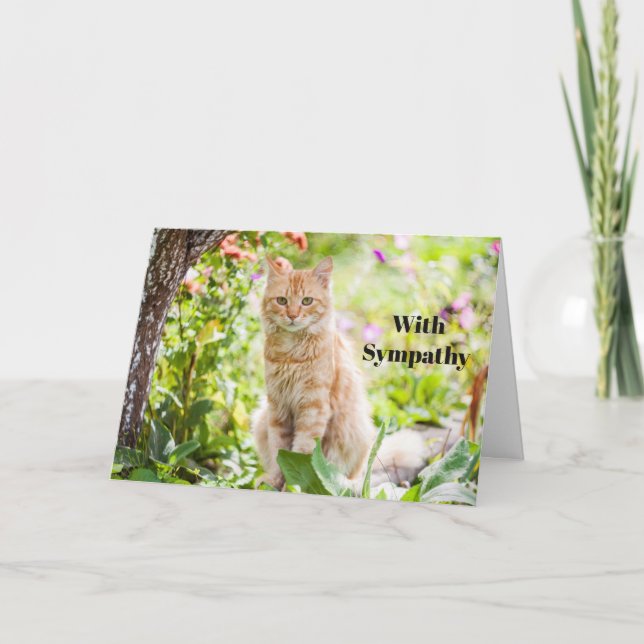 Cat Sympathy Card Personalised Pet Memorial  (Front)