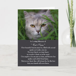 Cat Sympathy Card Personalised photo Pet Memorial