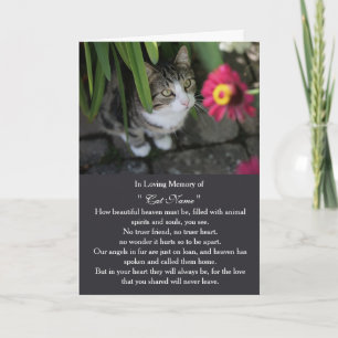 Cat Sympathy Card Personalised photo Pet Memorial