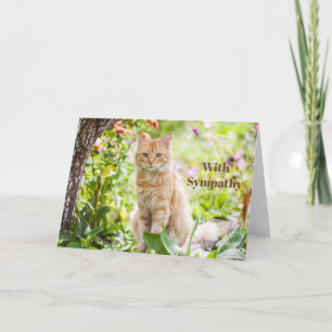 Cat Sympathy Card Personalized Pet Memorial 