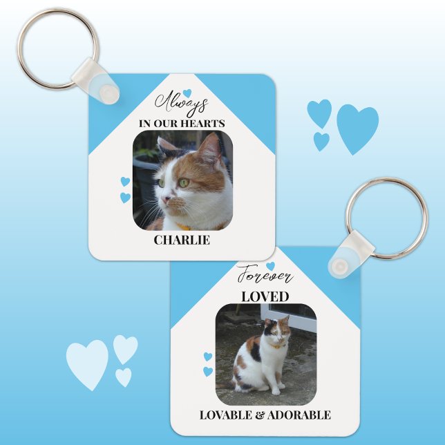 Cat Sympathy Keepsake Pet Memorial blue Key Ring (Creator Uploaded)