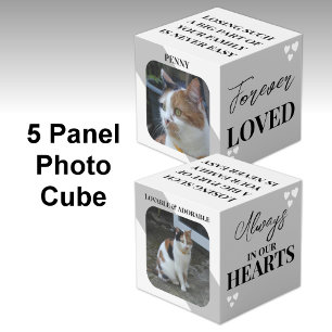 Cat Sympathy Keepsake Pet Memorial grey photo Cube