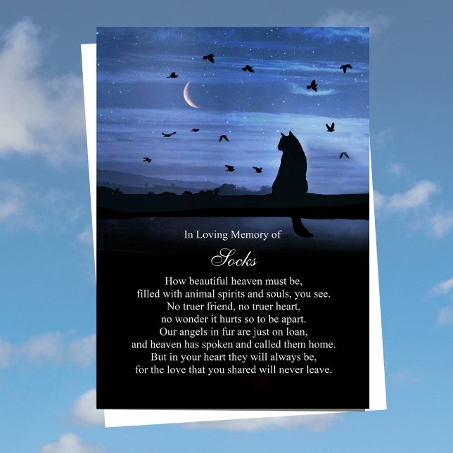 Cat Sympathy Loss of Cat Custom Name Spiritual  Card (Creator Uploaded)