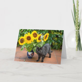 Cat Sympathy with Sunflowers Card