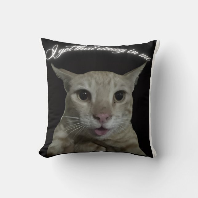 Cat t-shirt cushion (Front)