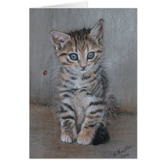 Cat, tabby kitten, just posing, fine art.