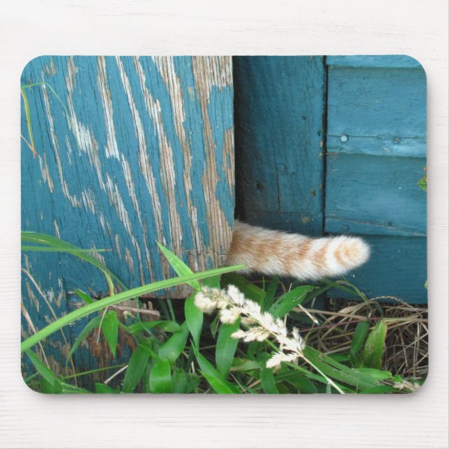 Cat Tail ~ mousepad (Front)