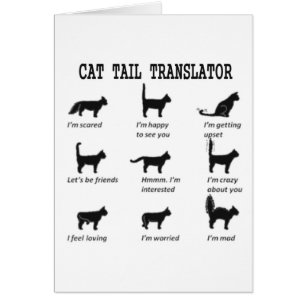 CAT TAIL TRANSLATOR