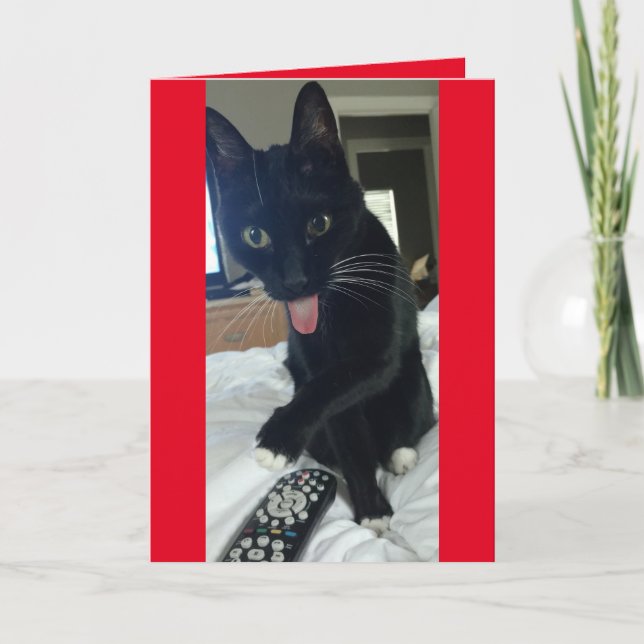 Cat takes remote for Valentines Day funny Holiday Card (Front)
