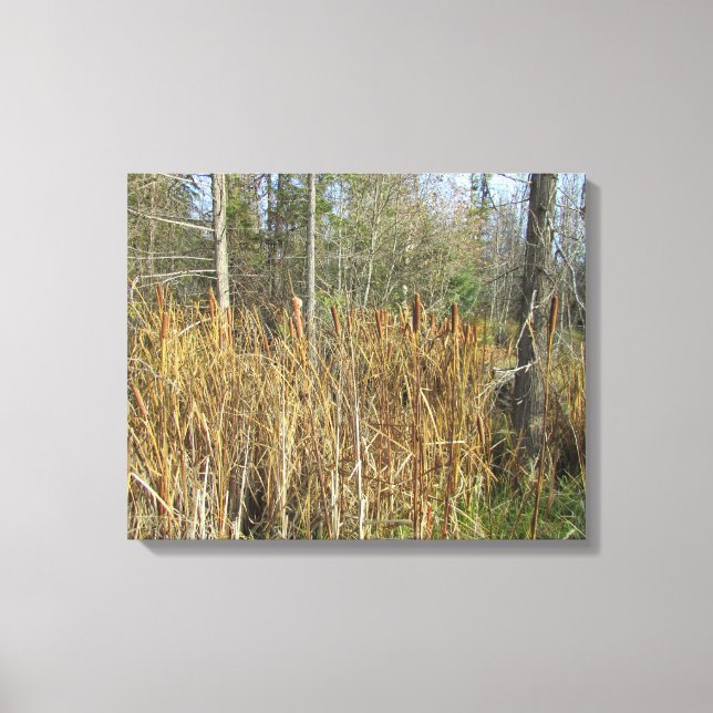 Cat Tales in the Forest Canvas Print (Front)