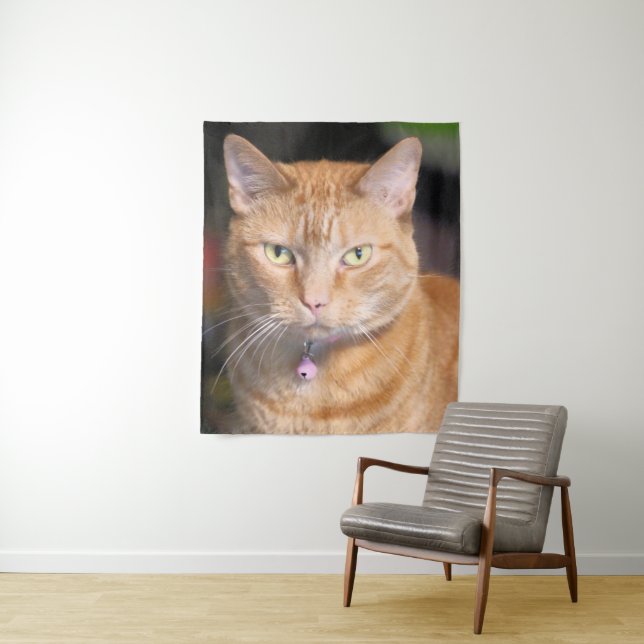 Cat Tapestry (In Situ)