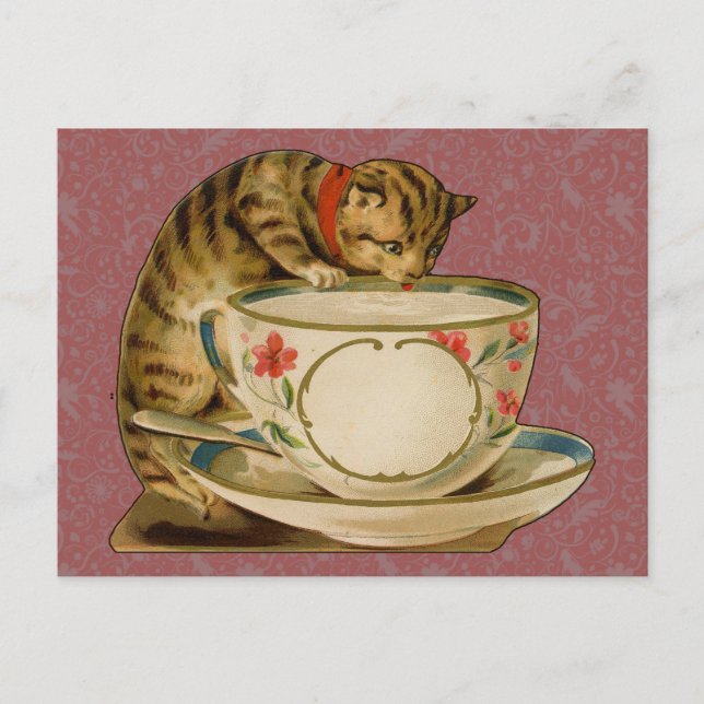 Cat Teacup Cute Vintage Victorian Postcard (Front)