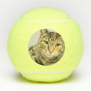Cat Tennis Balls