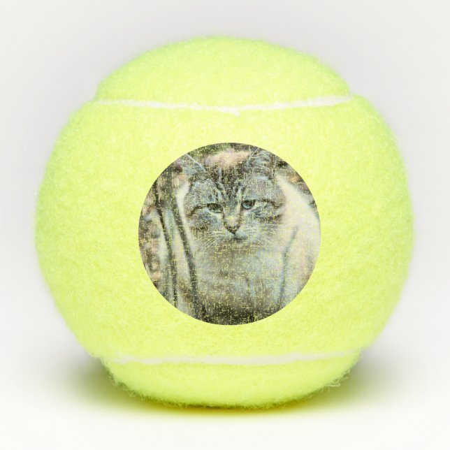 Cat Tennis Balls (Front)