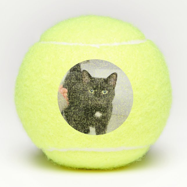 Cat Tennis Balls (Front)