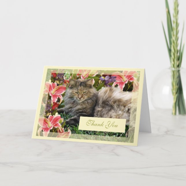 "Cat Thank You Card Blank (Front)