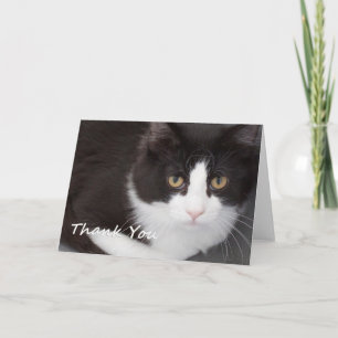 Cat Thank You Card by Focus for a Cause