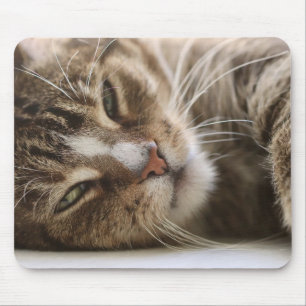 Cat, The Hangover, Cat's Eye Mouse Pad