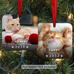 Cat Then And Now Christmas Photo Metal Tree Decoration