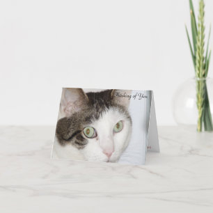 Cat - Thinking of You Card