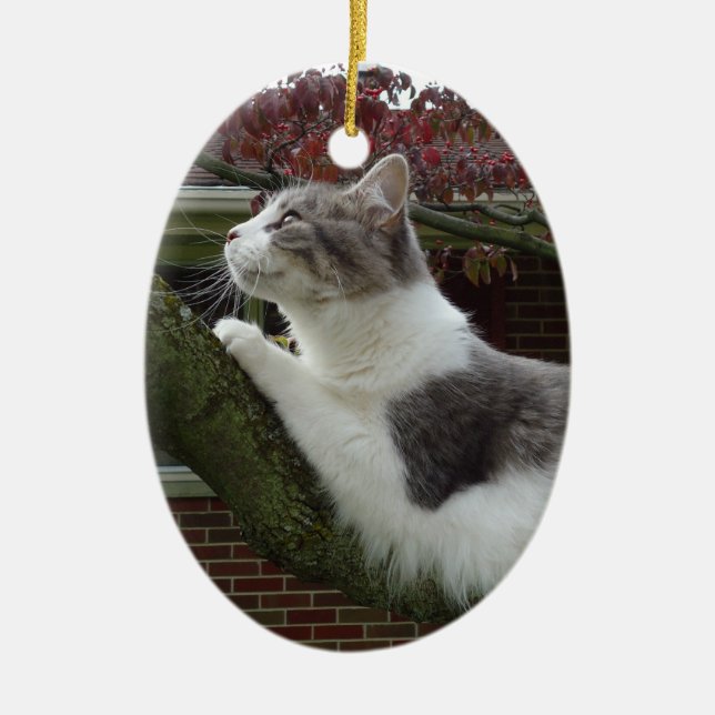 Cat Thoughts Ceramic Tree Decoration (Front)